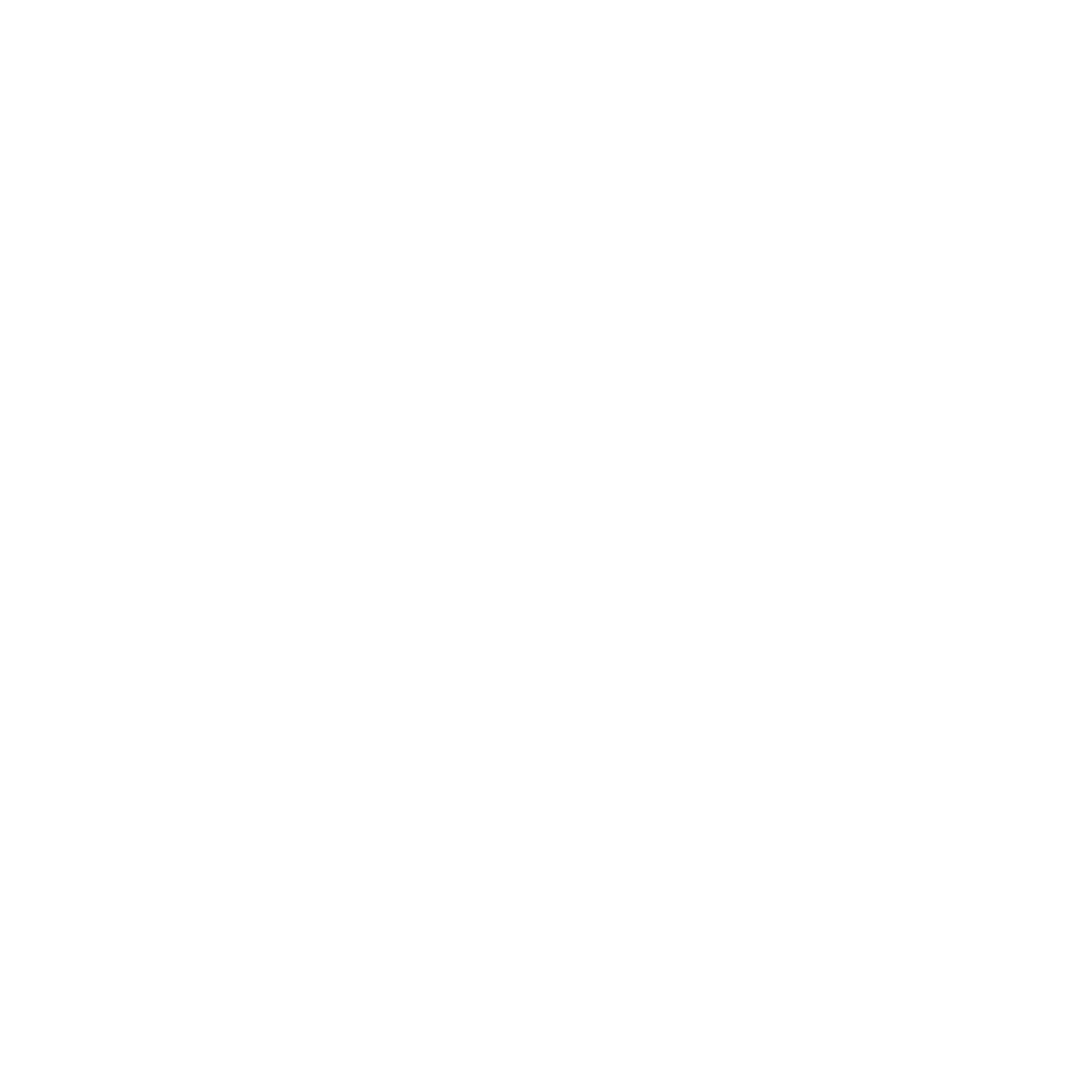 Expert in the Loop